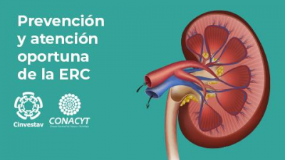 Prevención y atención oportuna de la ERC